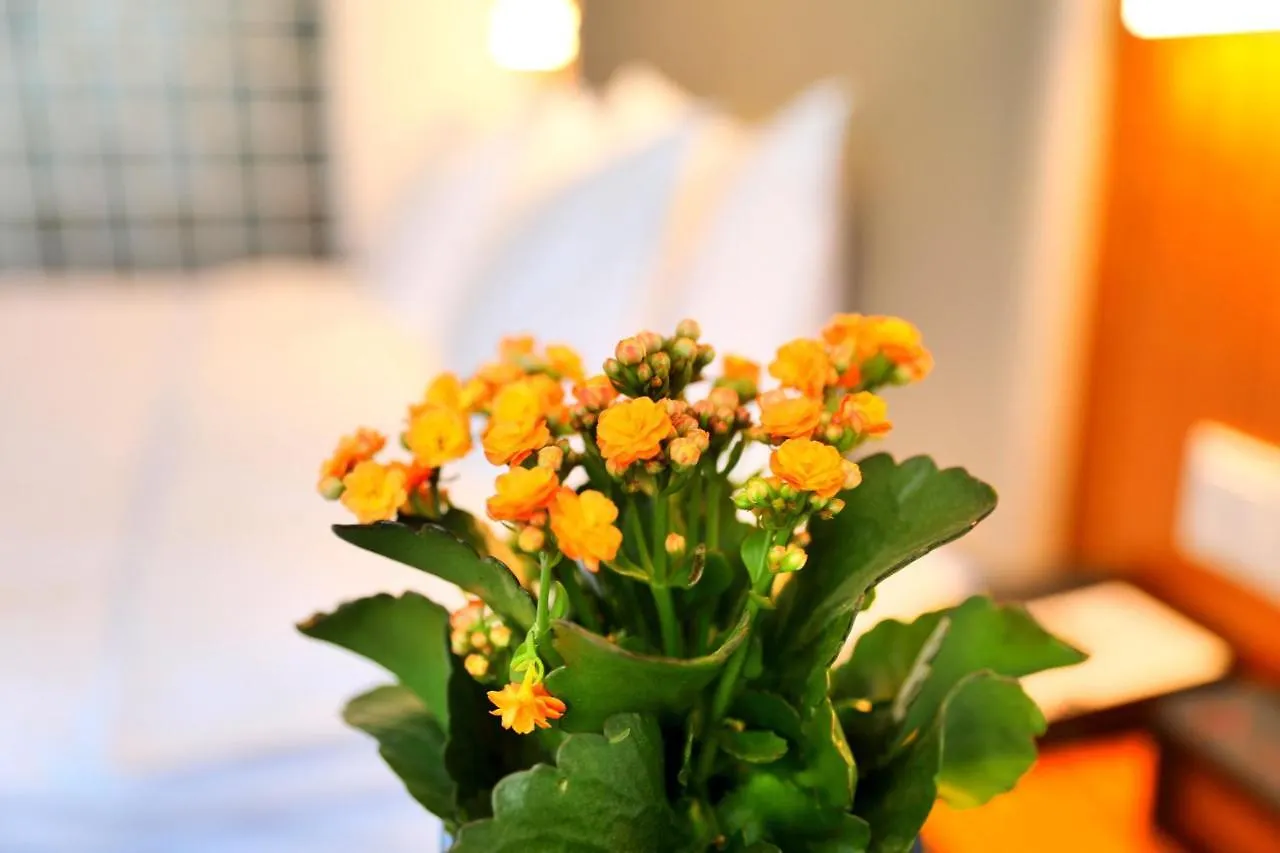 Hotel Holiday Inn Express Luoyang Xiyuan